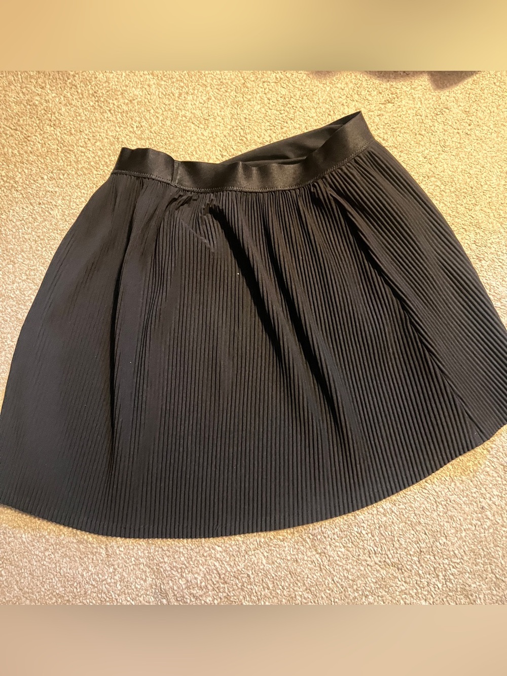 all in motion Black Pleated Circle Skirt